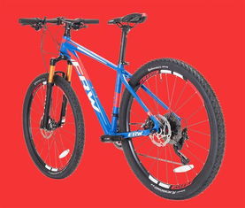 全球十大頂級戶外運動品牌frw輻輪王談哈羅能否成行業黑馬