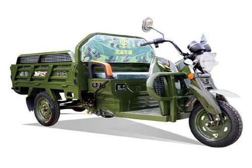 三輪電動(dòng)車(chē)有哪些品牌