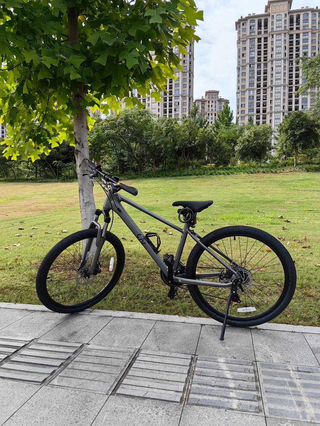 大愛(ài)捷安特自行車咪咪 騎行之旅:捷安特山地車 為了陪伴兒子騎行